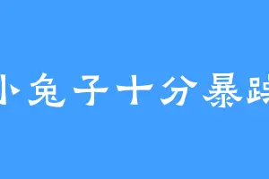 小兔子十分暴躁