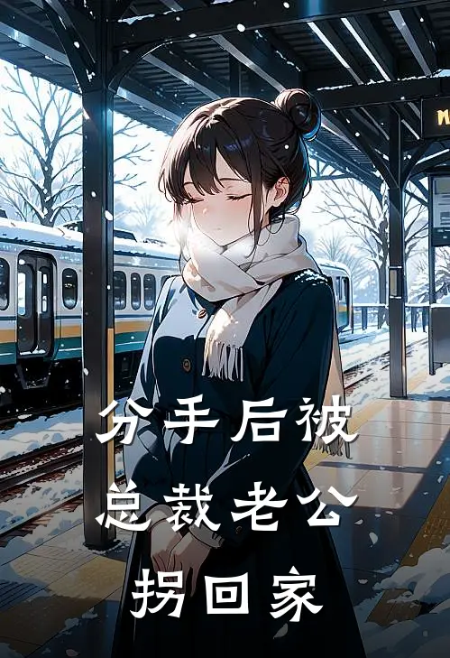 分手后被总裁老公拐回家