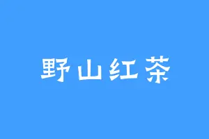 野山红茶
