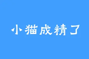 小猫成精了