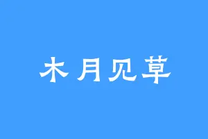 木月见草