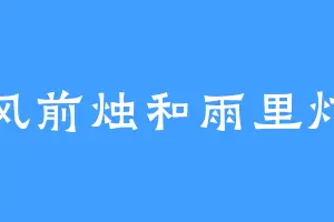 风前烛和雨里灯