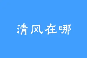 清风在哪