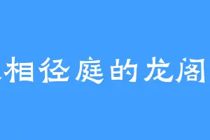大相径庭的龙阁主