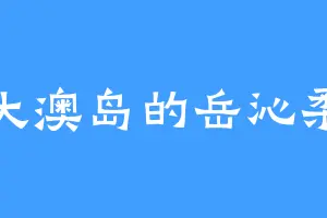 大澳岛的岳沁柔